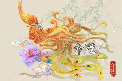择吉黄历,择吉日历,择吉老皇历