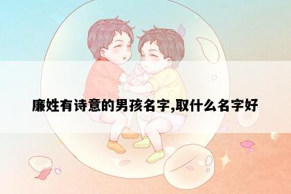 廉姓有诗意的男孩名字,取什么名字好
