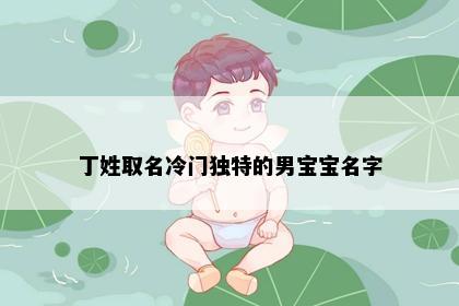 丁姓取名冷门独特的男宝宝名字