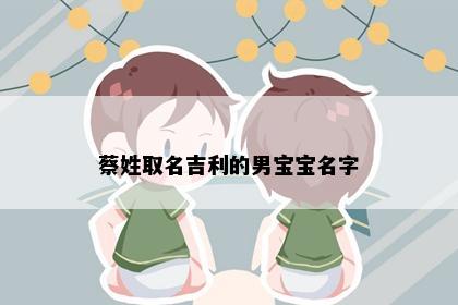 蔡姓取名吉利的男宝宝名字