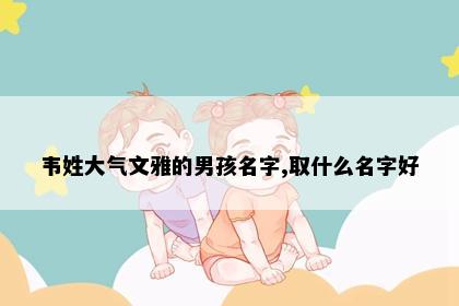 韦姓大气文雅的男孩名字,取什么名字好
