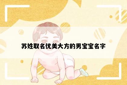 苏姓取名优美大方的男宝宝名字
