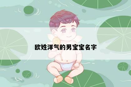 欧姓洋气的男宝宝名字